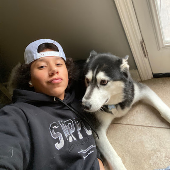 Meet your Posher, Silas - Picture 1 of 1